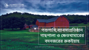 পশুপাখি, ব্যবসাপ্রতিষ্ঠান, গাছপালা ও ক্ষেত খামারের বদনজরের রুকইয়াহ